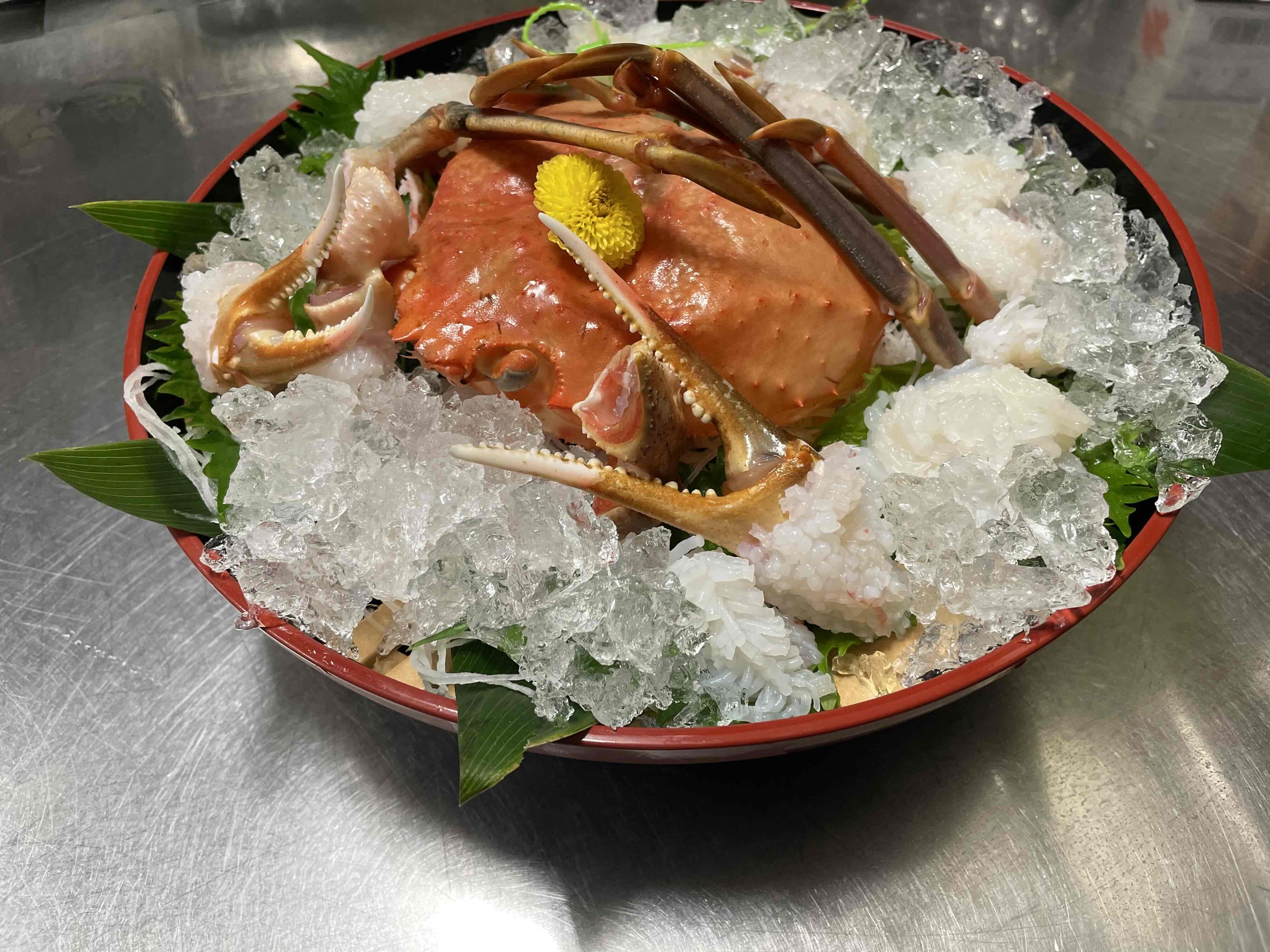 タグ付約900g活松葉蟹1杯コース「刺身、鍋、焼蟹、天婦羅」朝食セコ蟹釜飯・のど黒煮つけ・鮑陶板焼付