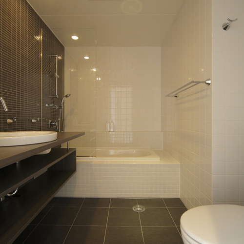 Spacious bathroom