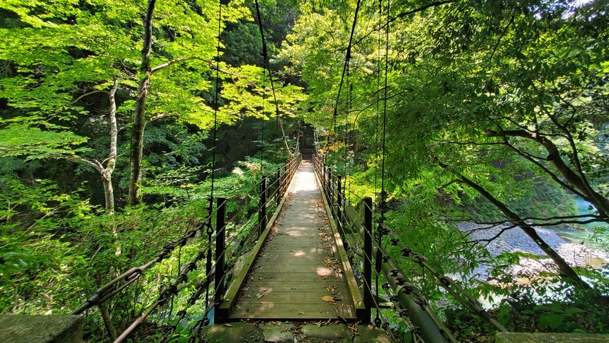 【絶景スポット】当館から徒歩1分のつり橋