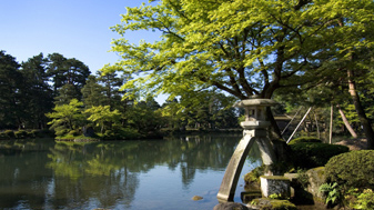【素泊り】ホテルから兼六園まで徒歩10分☆兼六園チケット＆観光に便利なバス1日フリー乗車券付き
