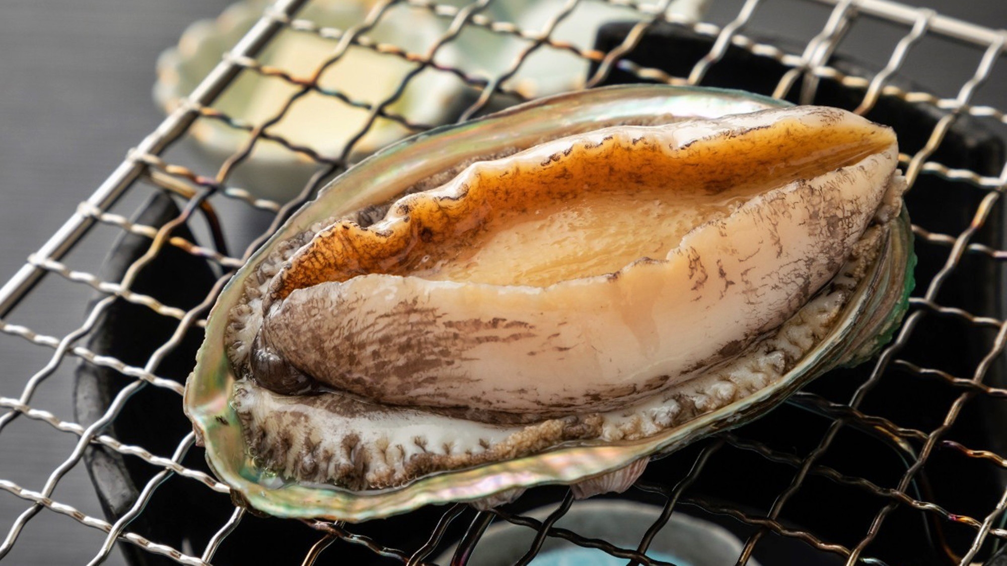 【金目鯛×鮑×飛騨牛】全室オーシャンフロント◆豪華3大メインの饗宴！特別な日に贈る極上の美食体験を