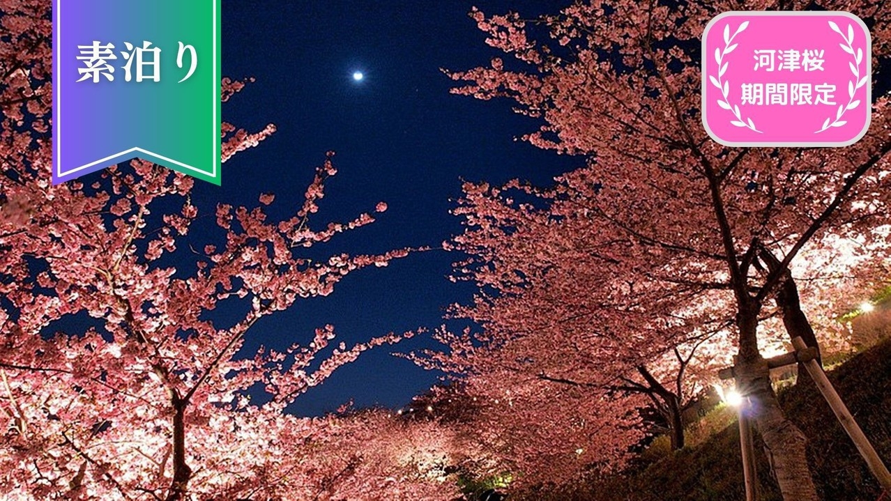【河津桜◇大人限定】河津桜並木まで徒歩1分！＜素泊りプラン＞チェックイン前駐車場利用OK！