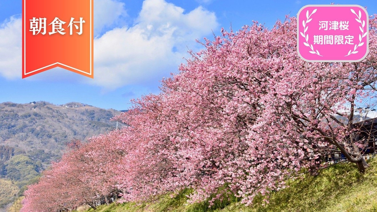 【河津桜◇大人限定】河津桜並木まで徒歩1分！＜朝食付プラン＞チェックイン前駐車場利用OK！