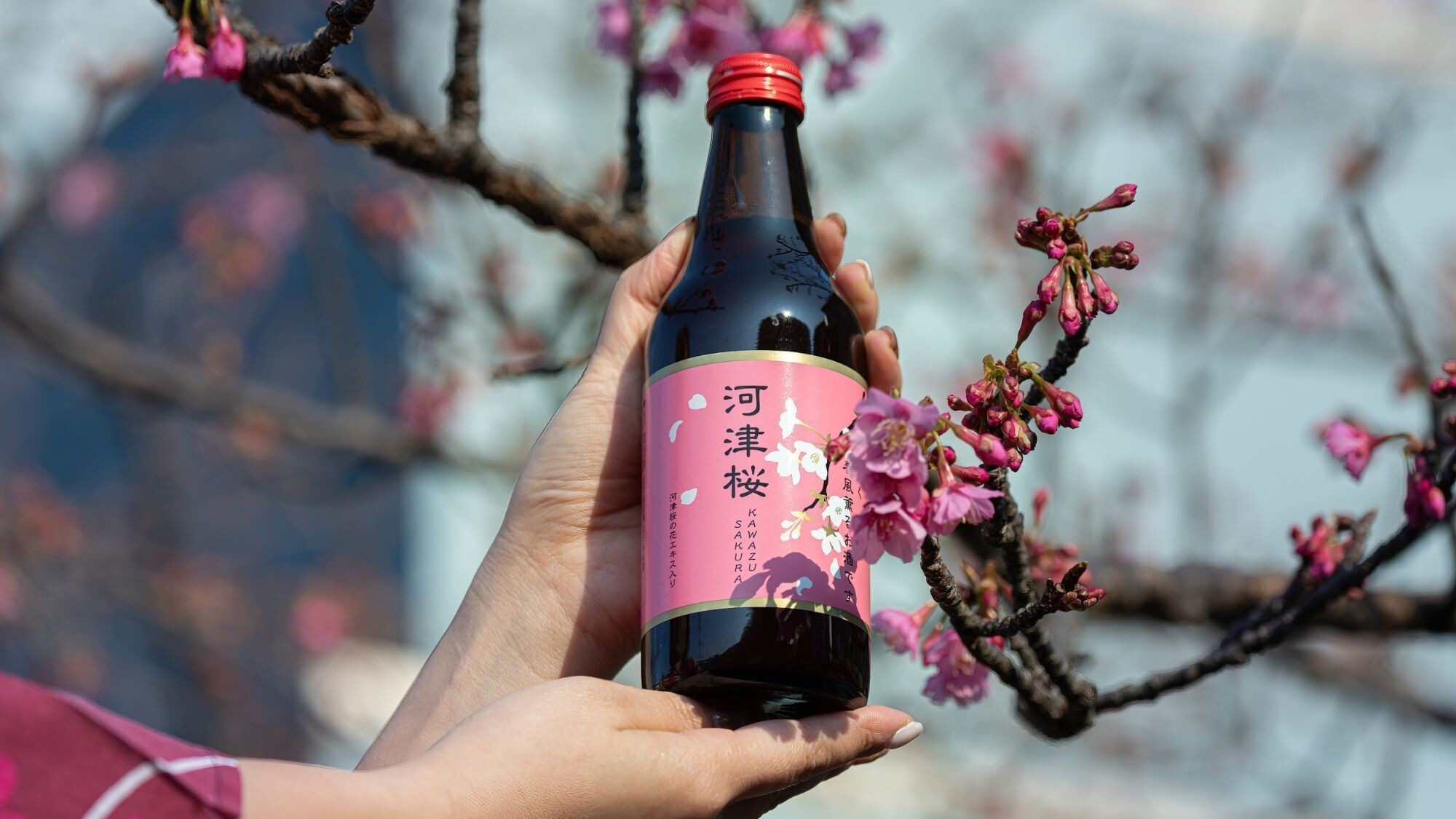 河津桜ビール｜桜の香り感じるさわやかなビールをぜひご賞味ください♪