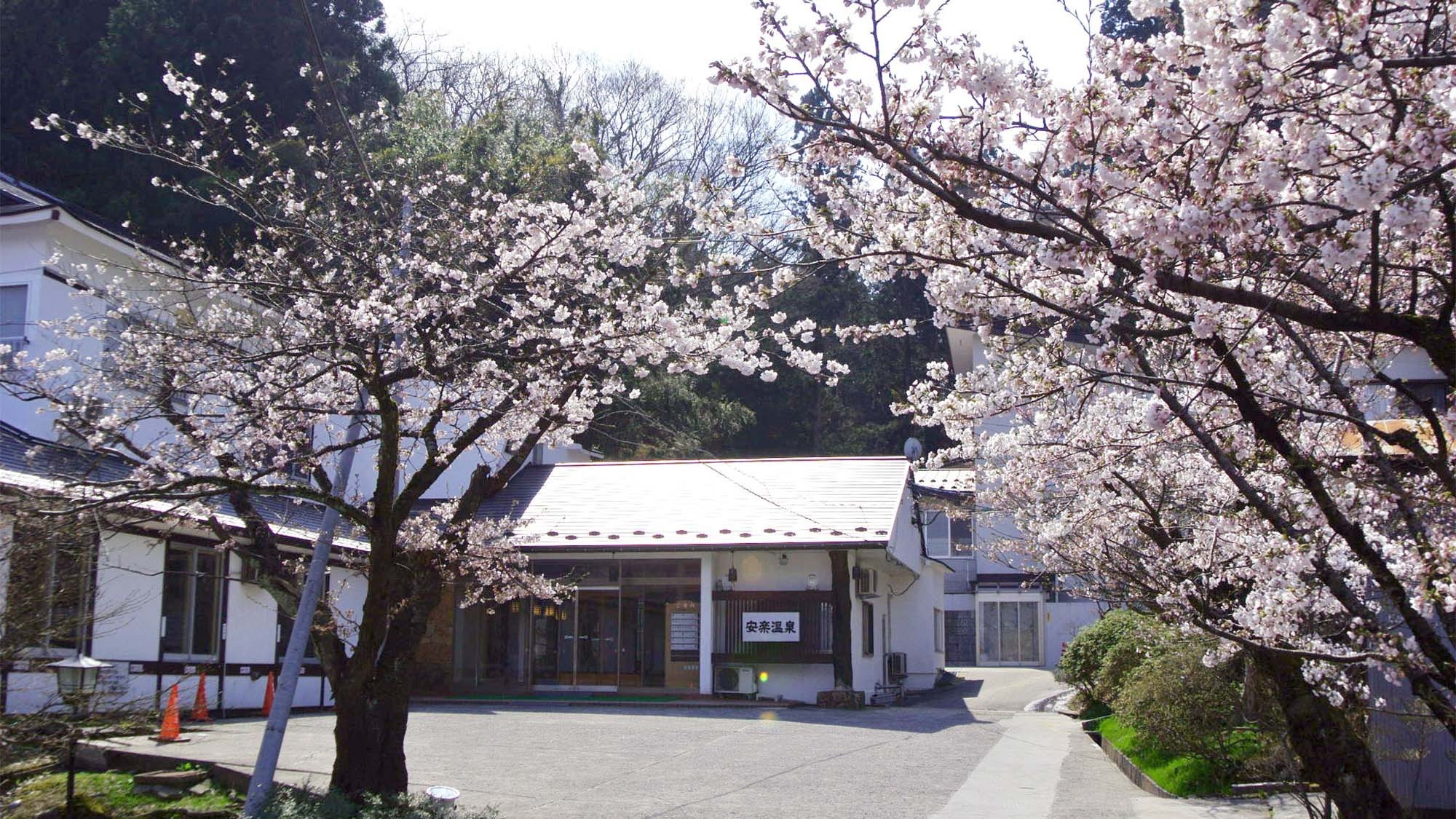 【朝食付】心温まる和朝食で素敵な一日を！源泉かけ流し温泉の宿