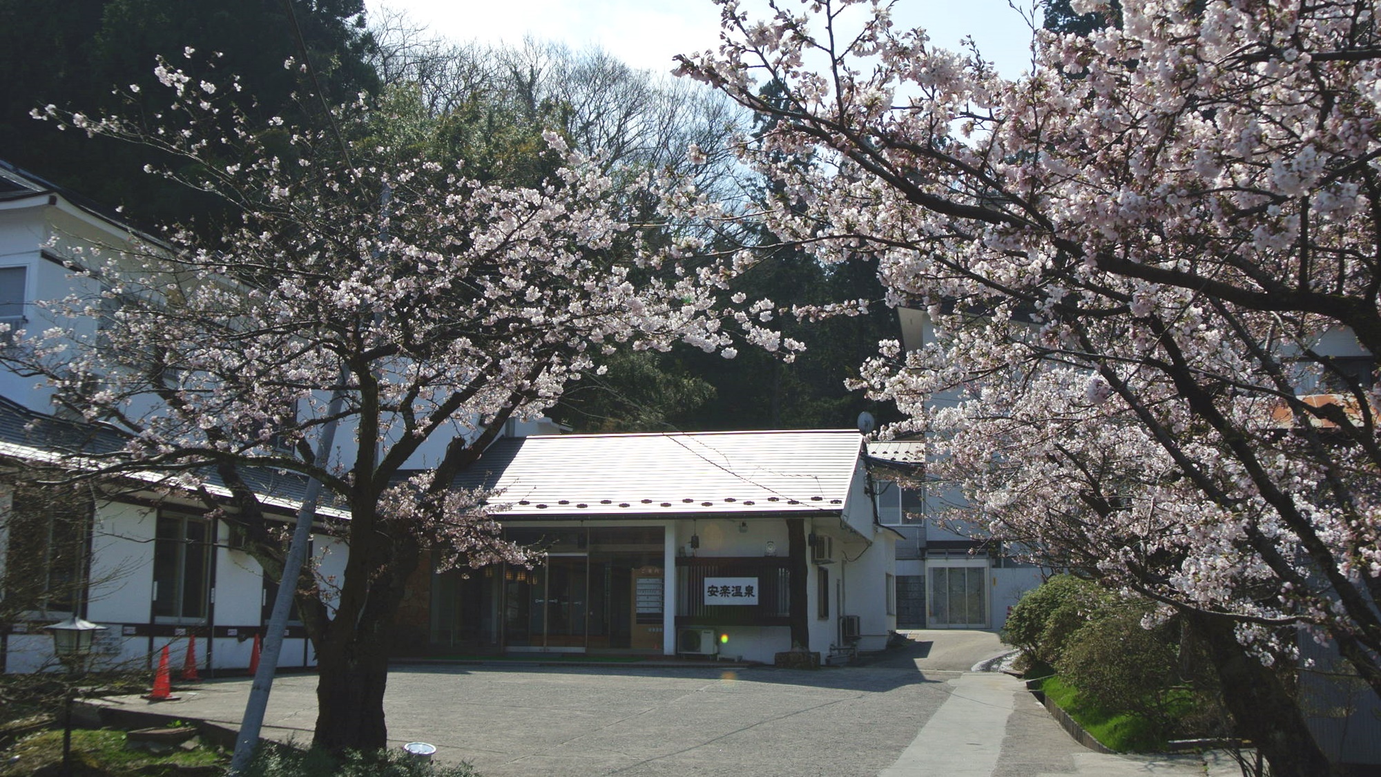 *【外観】春には桜が開花します。