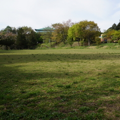 荒神山公園　芝生