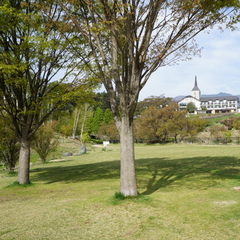 荒神山公園　芝生＆HOTEL