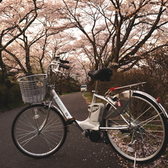 電動自転車