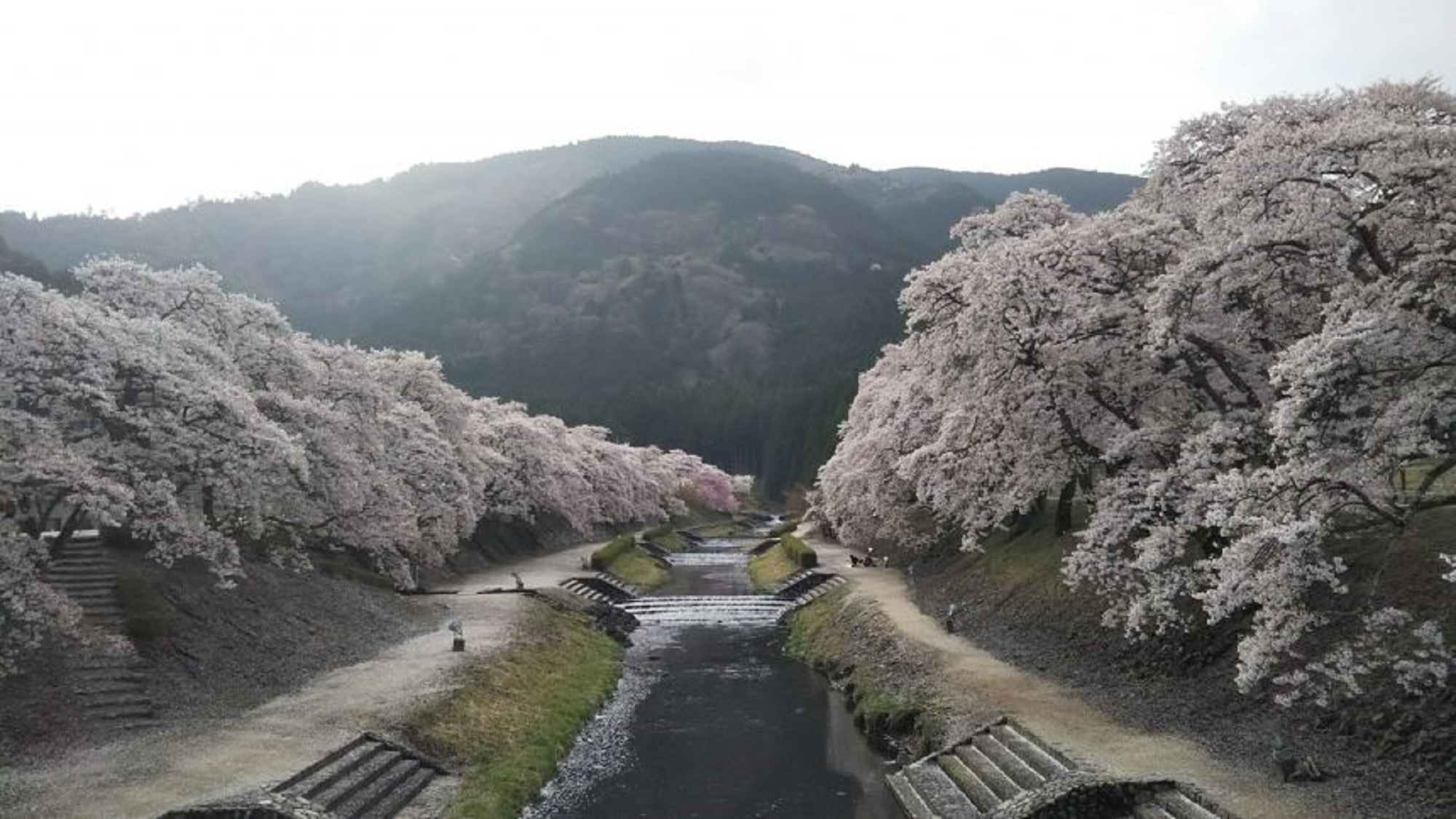 【人気NO.1】《4月〜5月10日》黒毛和牛のステーキがメイン！会席プラン