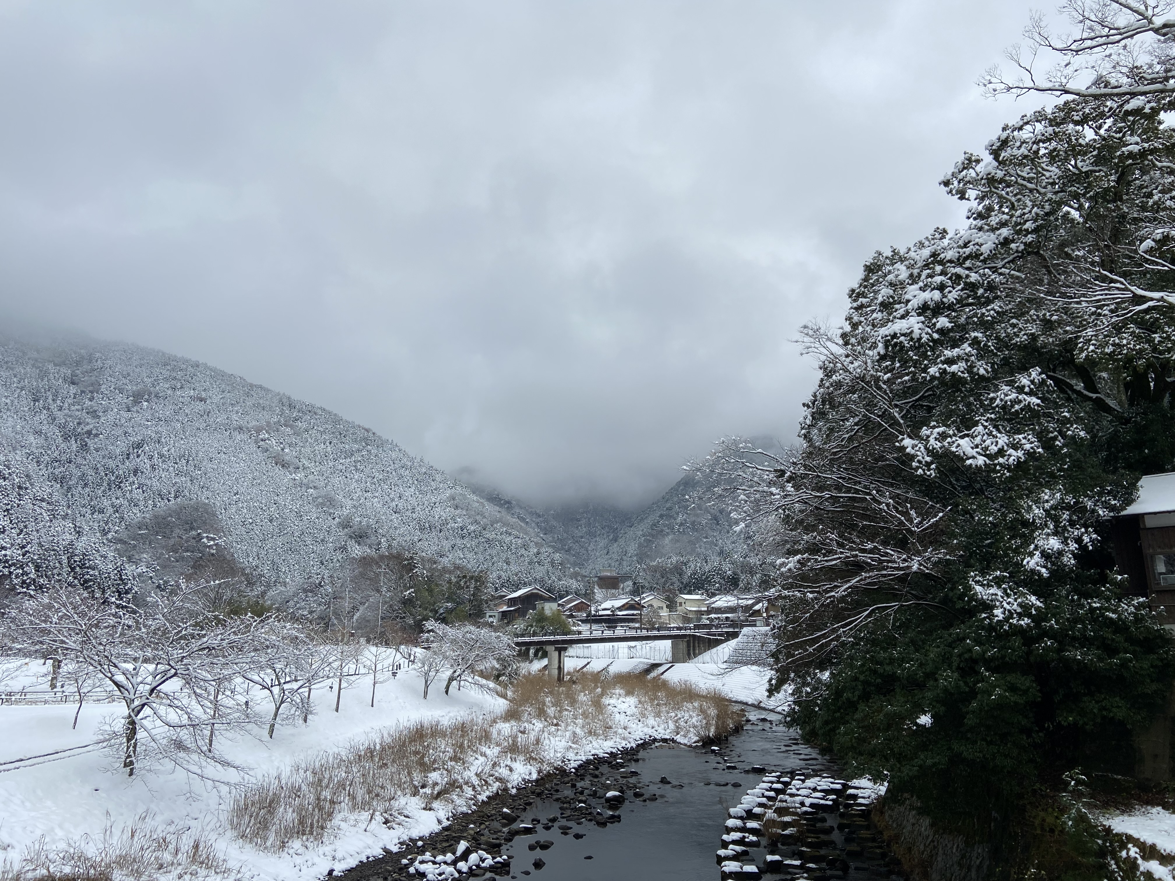 野洲川ダム方面雪景色