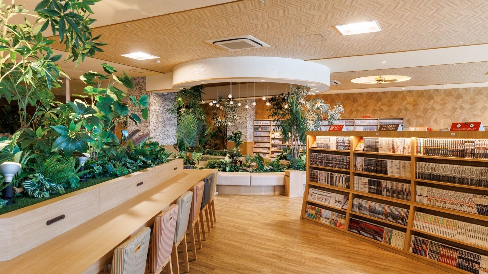 【ビジネス出張◆お1人様専用ちょい呑みプラン】素泊まり｜夜は生中とスピードメニュー1品付！