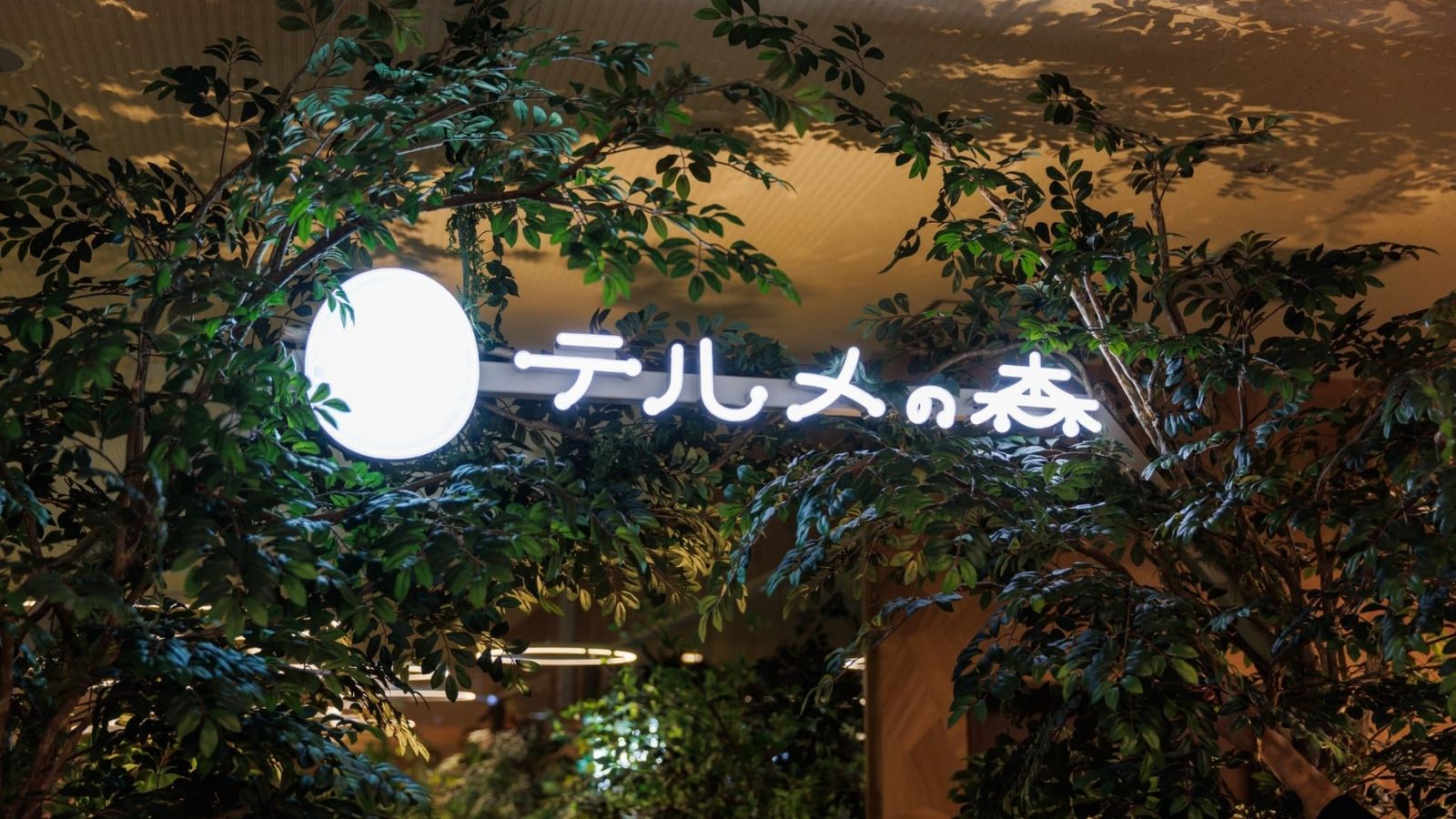 テルメの森イメージ