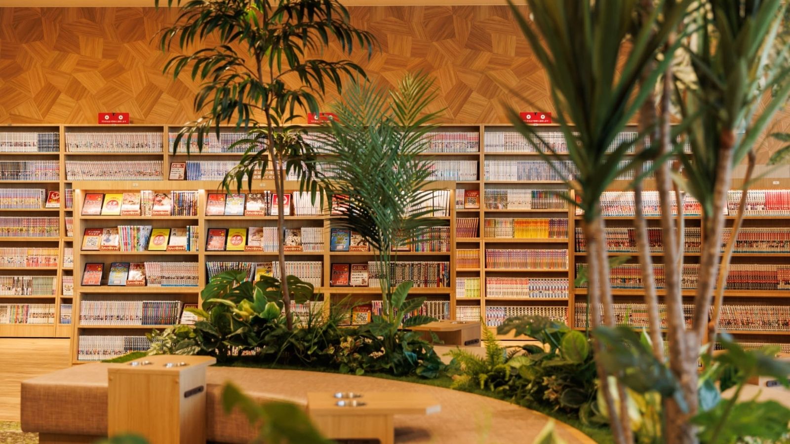 テルメの森イメージ