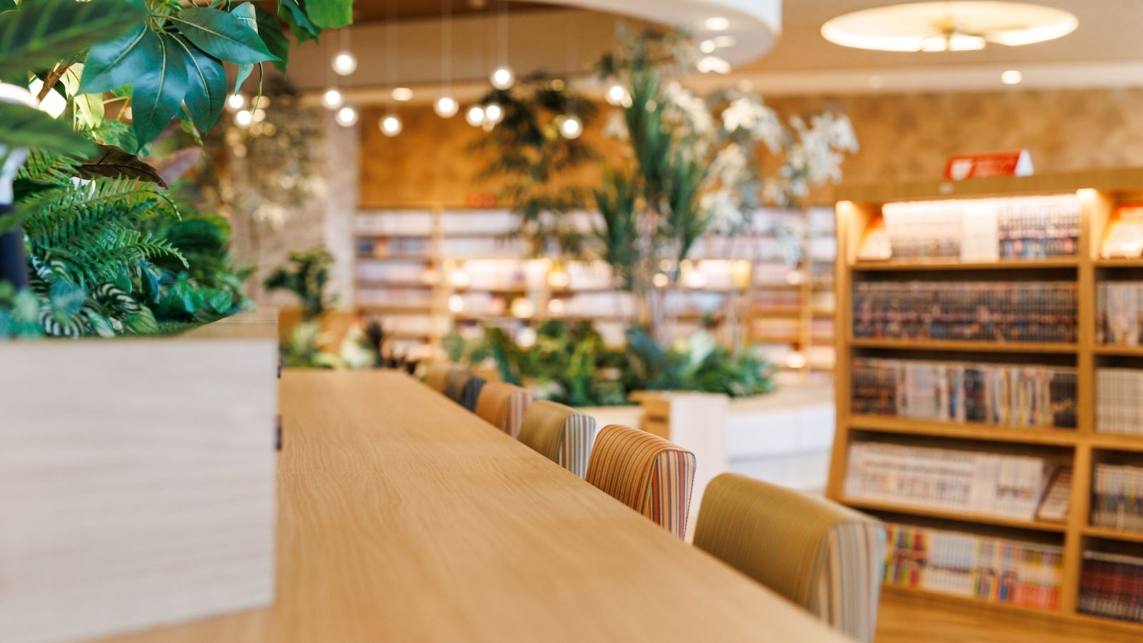 テルメの森イメージ