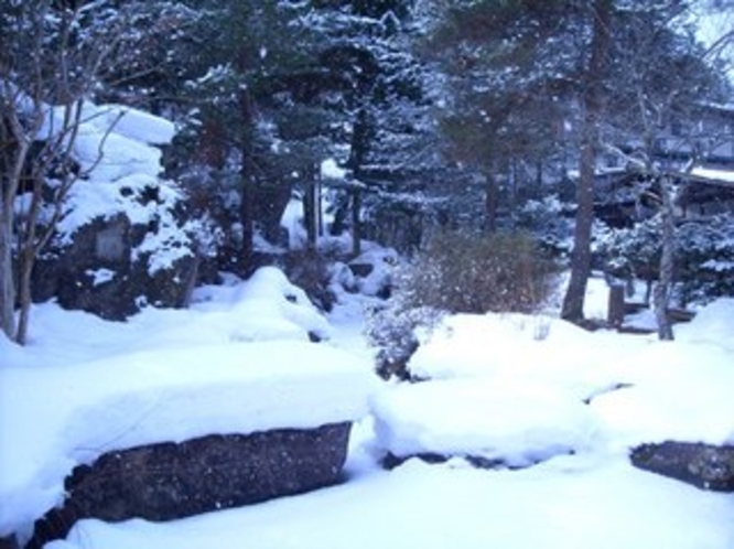 庭園の池・冬（平成26年3月8日撮影）