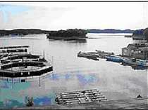 窓から見える景色