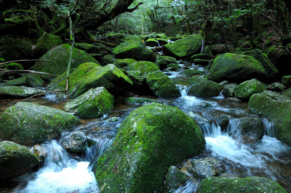 写真5