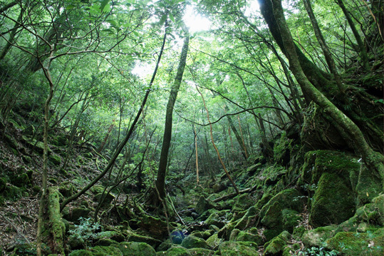 写真4