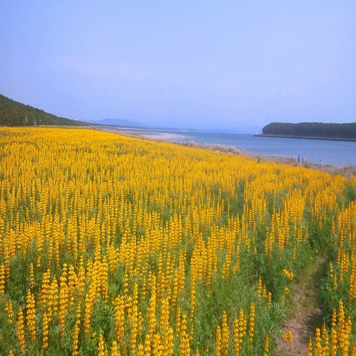 ＨＯＴＥＬ　ＡＺ　鹿児島大崎店 - 写真 66
