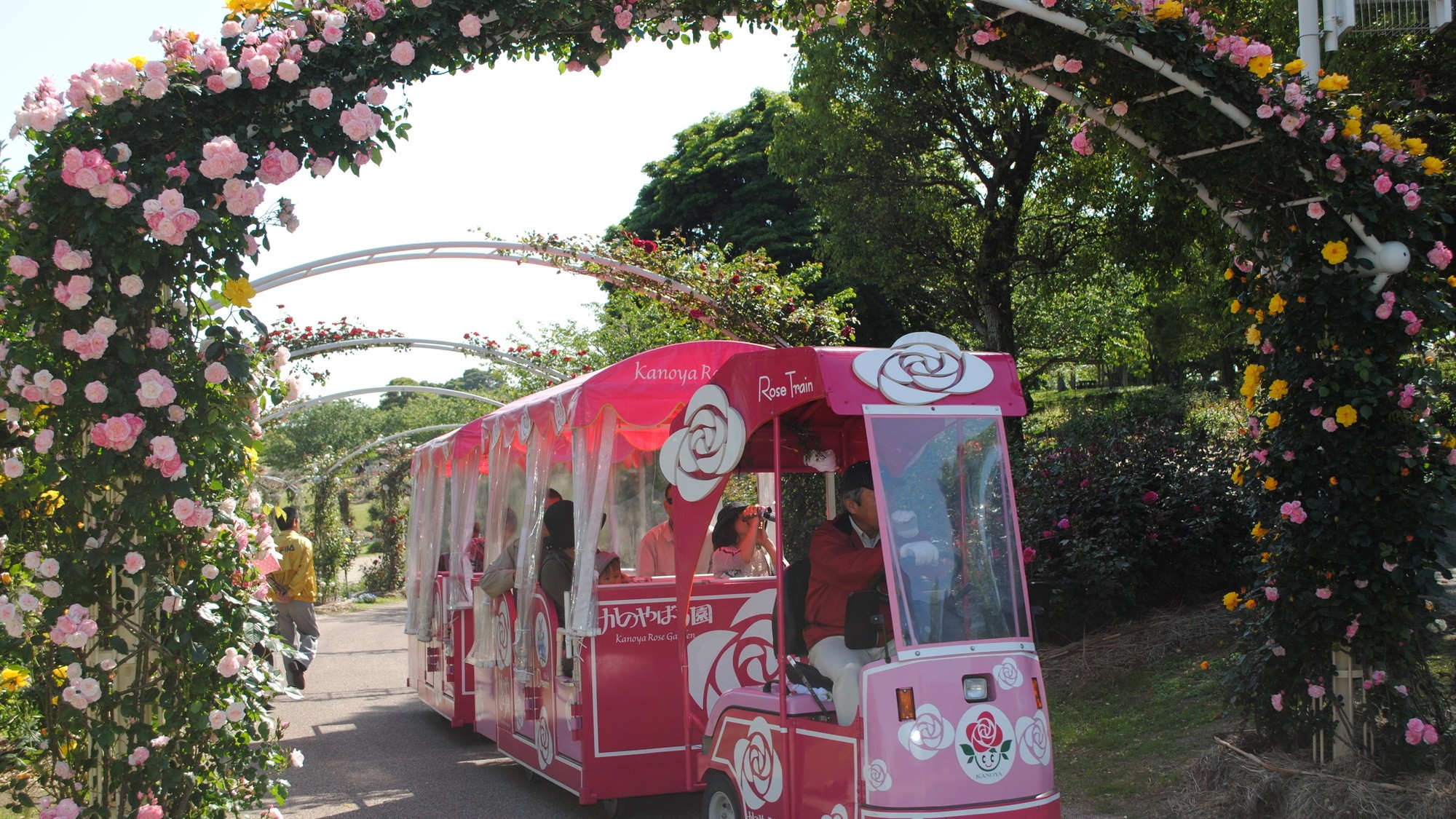 かのやばら園　ローズトレイン