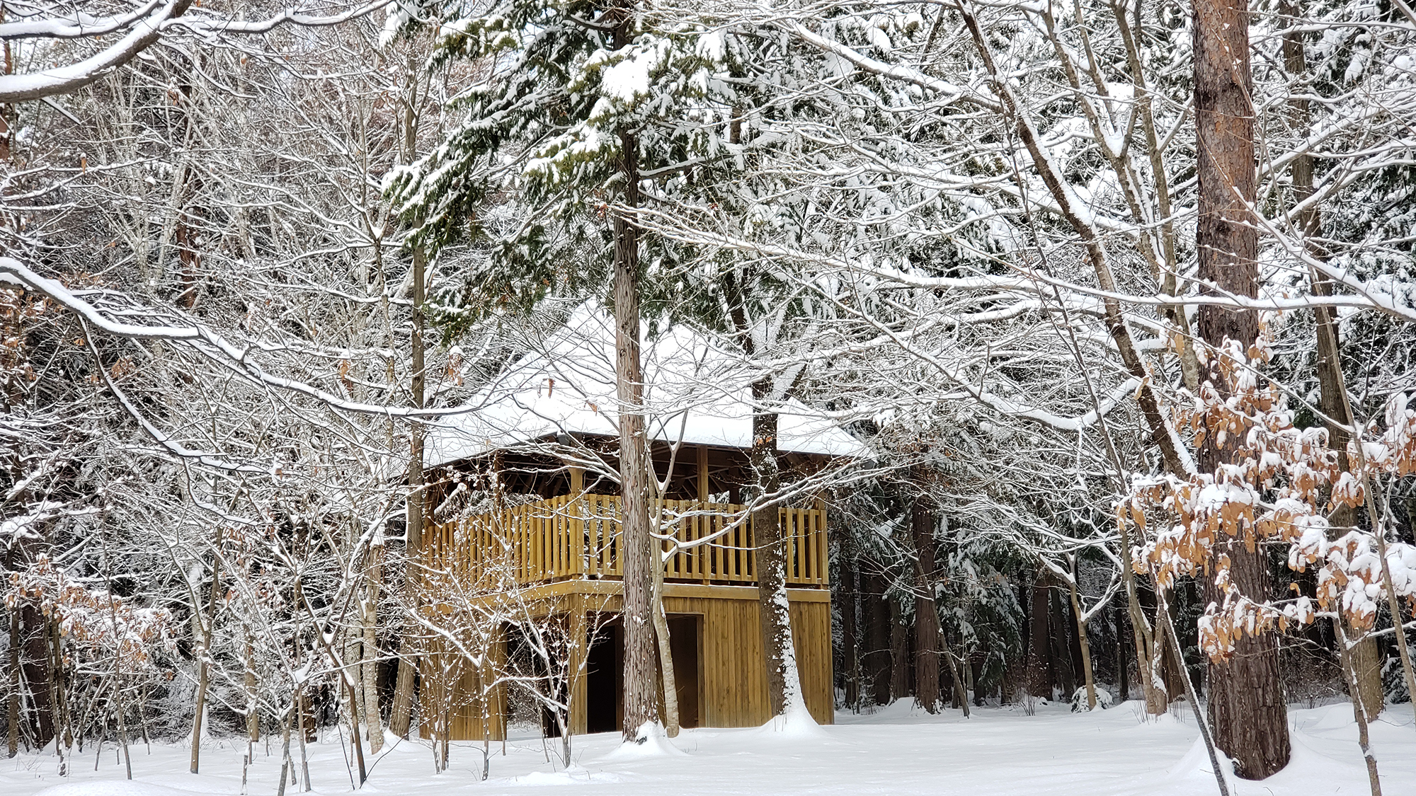 ◆【季節】冬　雪が積もった日には雪遊びも