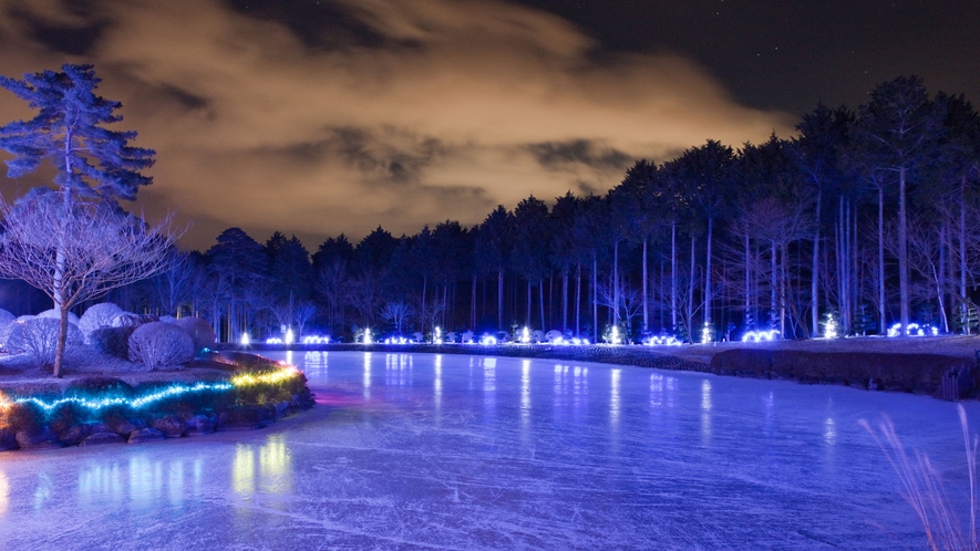*冬のイルミネーション/イルミネーションされた夜の大芝湖は幻想的な雰囲気☆