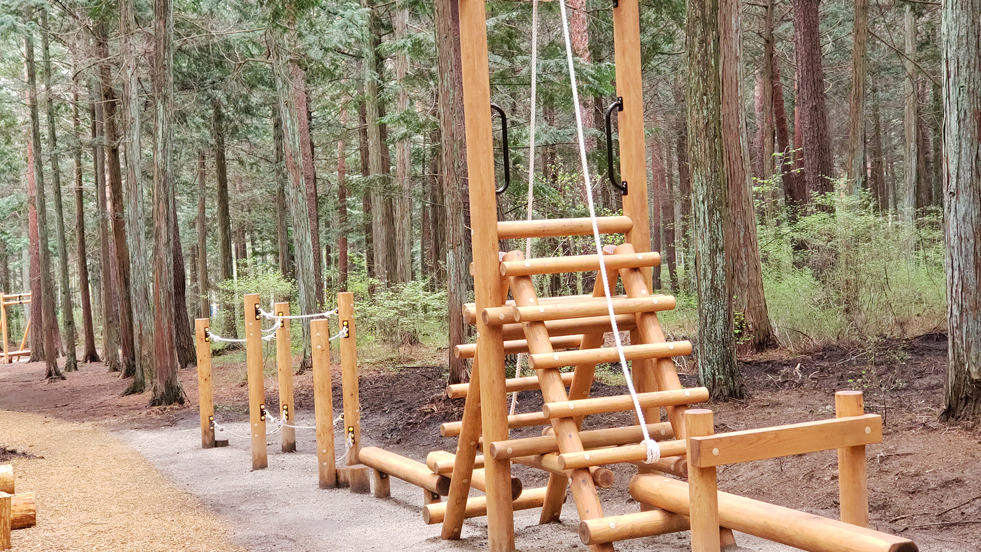 ◆【公園】森のアスレチック