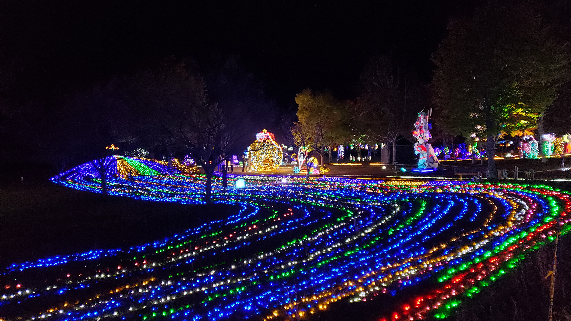 ◆【季節】イルミネーション