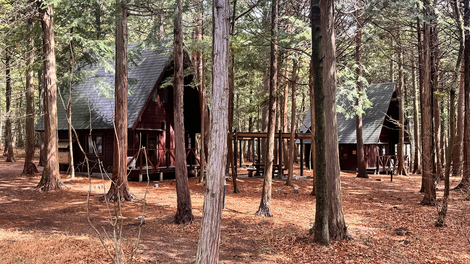 ◆森の中にあるコテージで自然を満喫