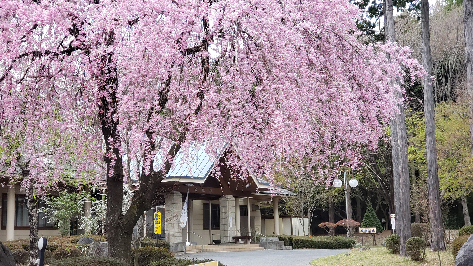 ◆【季節】春　お花見も楽しめます