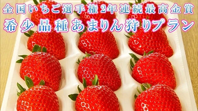 NEW【全国いちご選手権2年連続最高金賞】希少なあまりん30分食べ放題付きWEB限定プラン