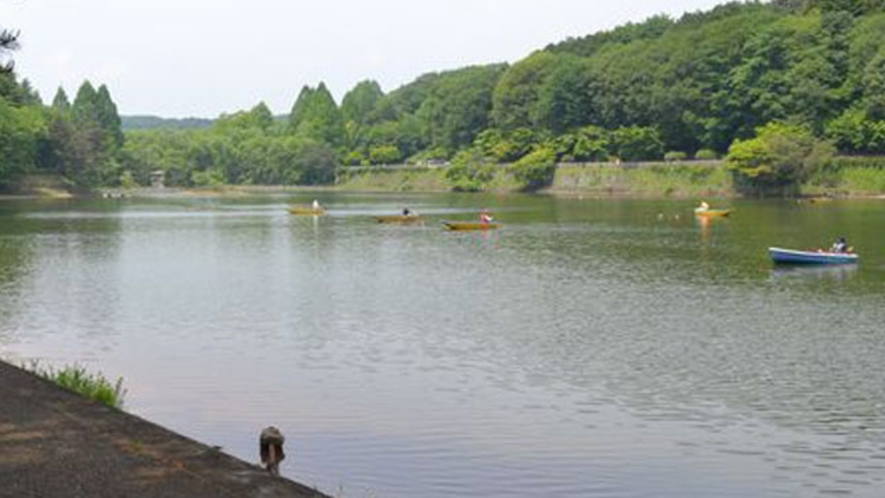 「ボート魚釣り」、「自然散策」が楽しめるファミリーパーク。宮沢湖
