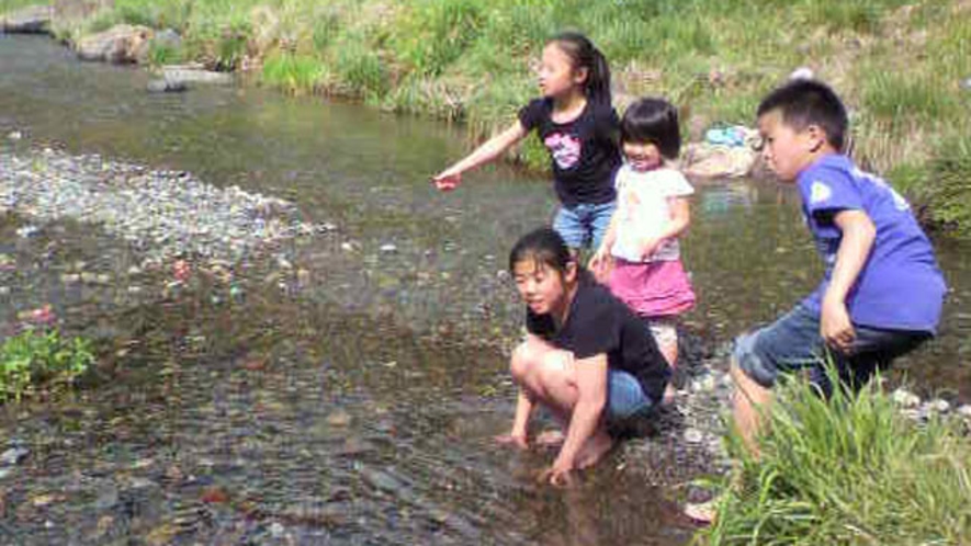 裏手の小川はお子様の水遊びにもぴったり