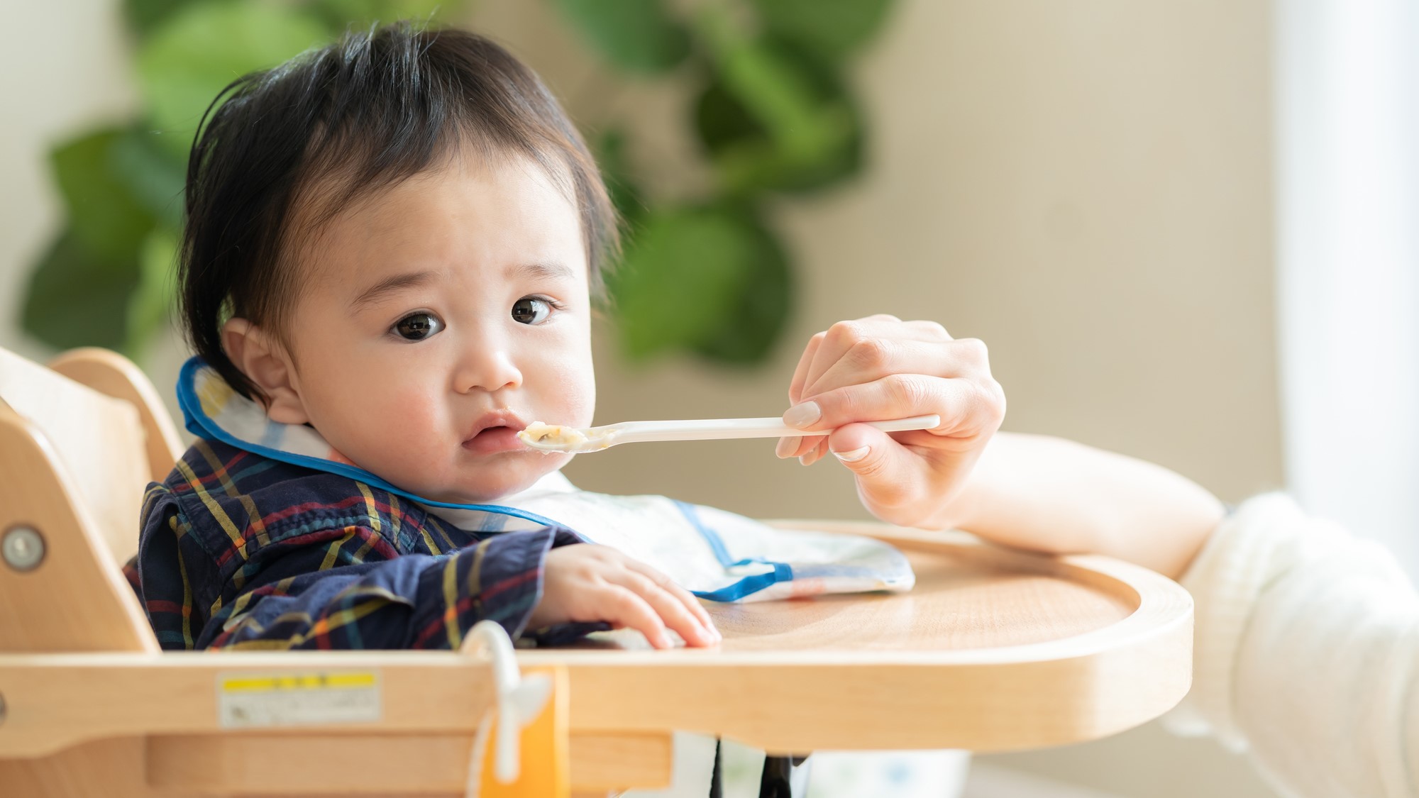 お子様用の椅子や食器もございます