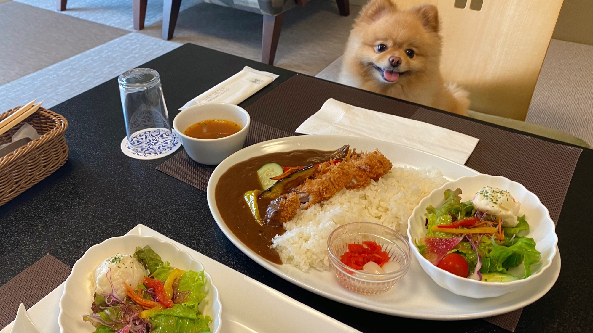 *わんちゃんと一緒にお部屋でランチ　ごゆっくりお楽しみくださいませ