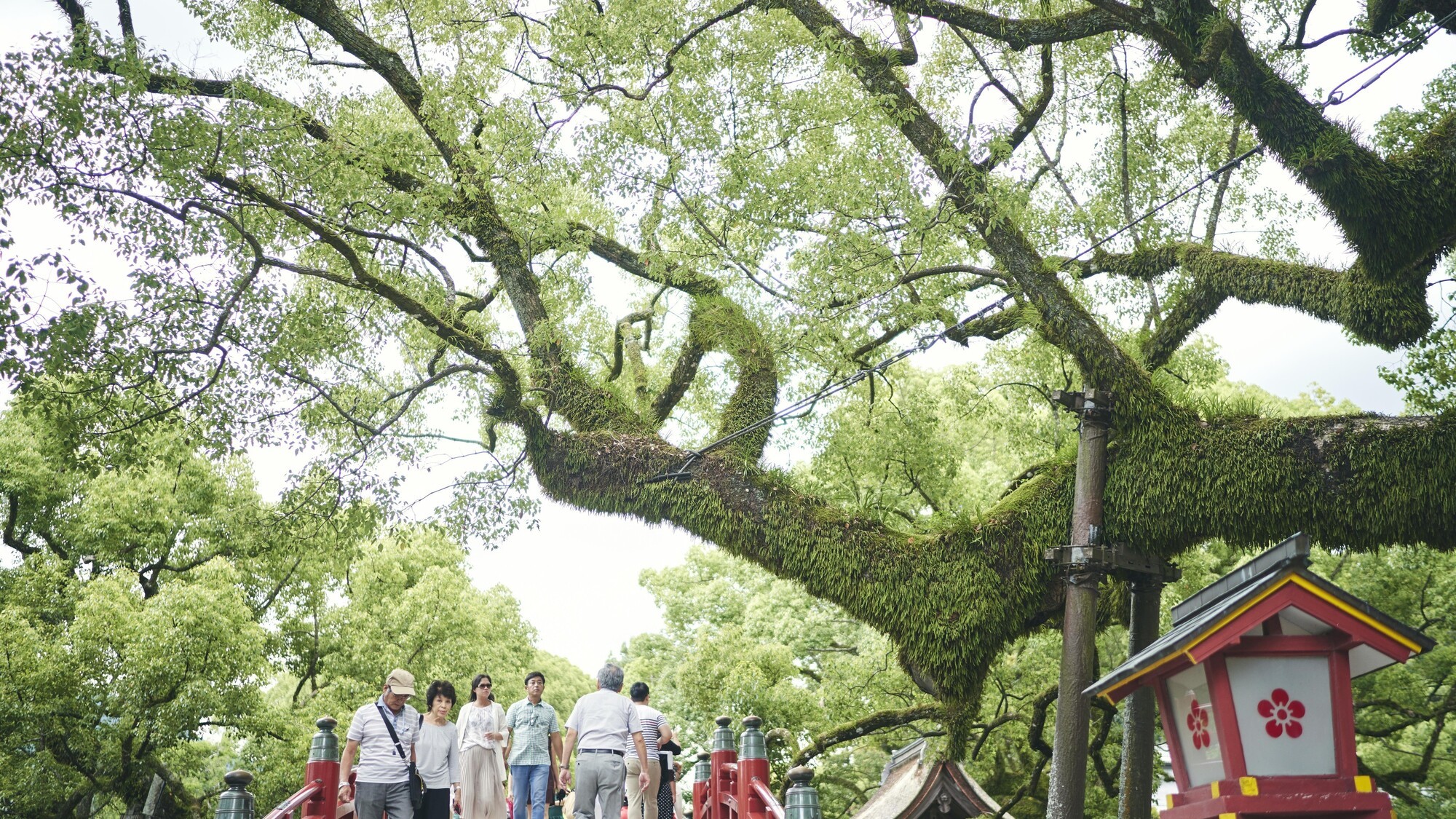 太宰府天満宮 03