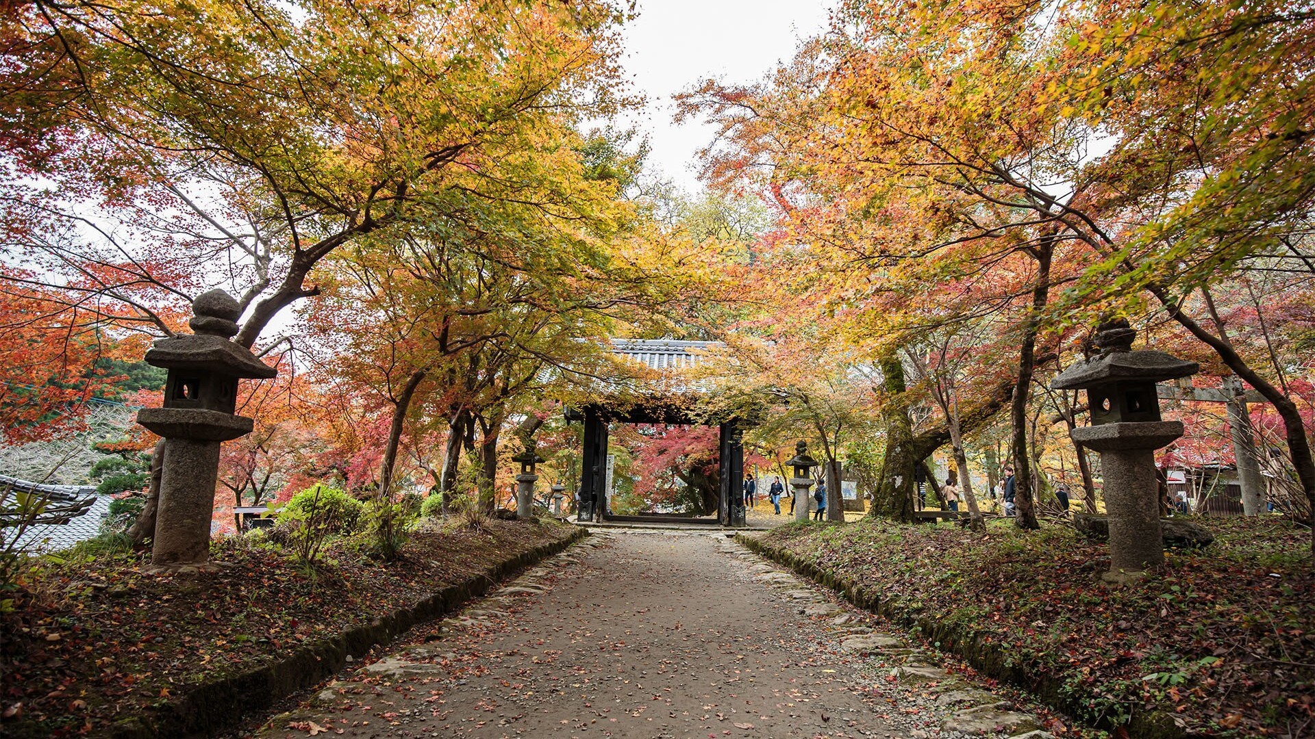 秋月城跡　黒門