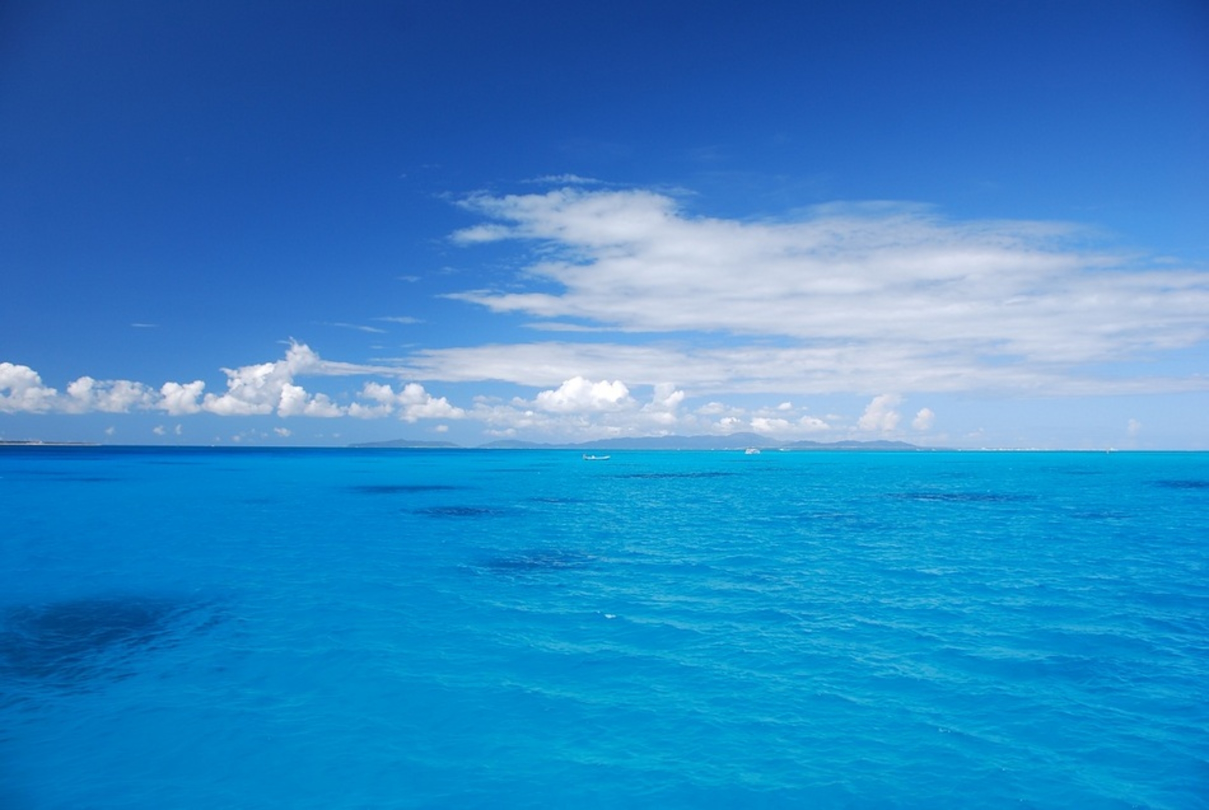 ゲストハウス ダイビング シーコロ 石垣島 設備 アメニティ 基本情報 楽天トラベル ゲストハウス ダイビング シーコロ 石垣島 設備 アメニティ 基本情報 楽天トラベル