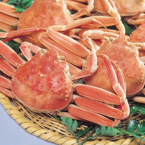 厳選した越前ガニ料理（中）が堪能できる会席コース（梅コース）