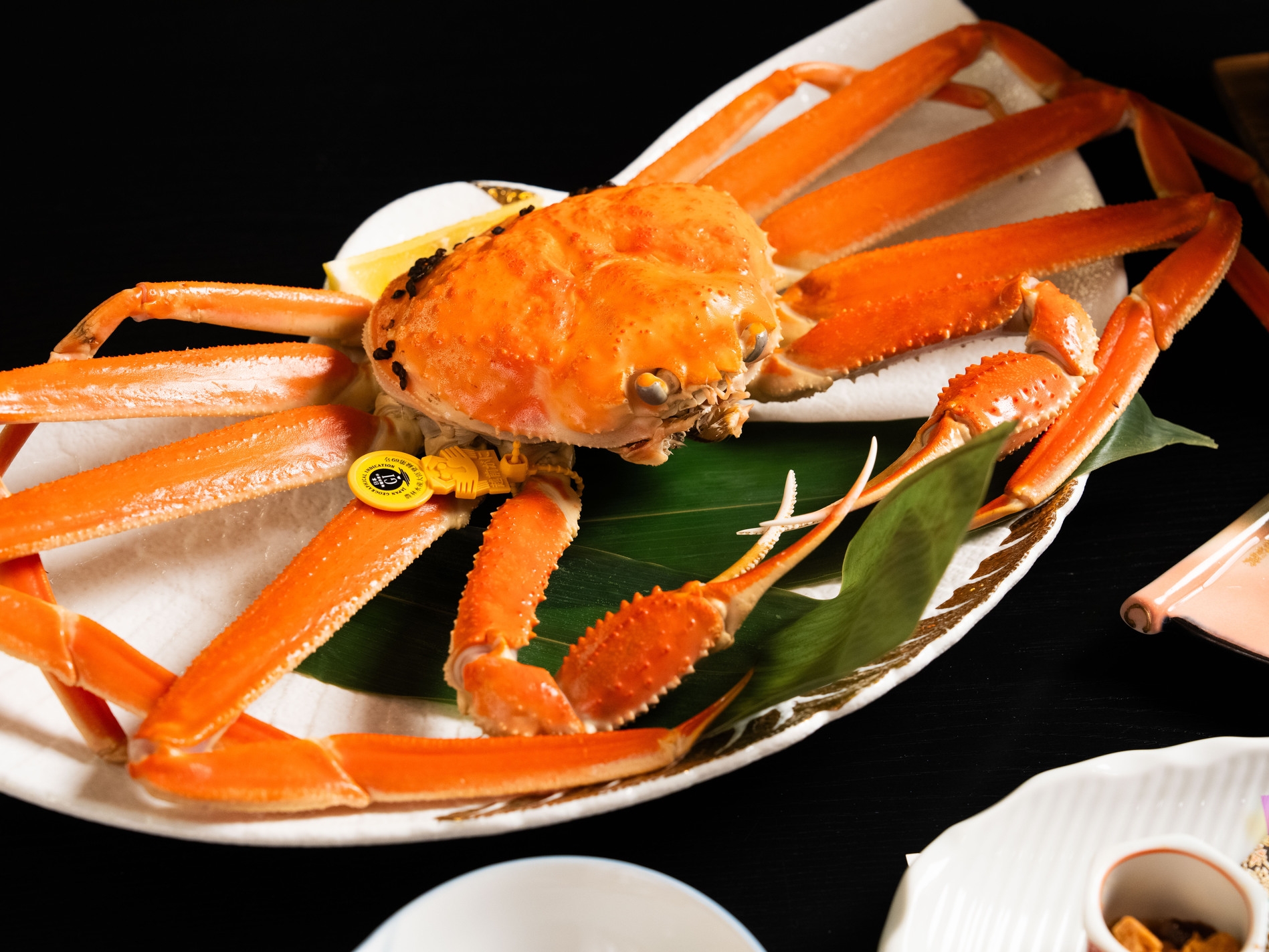 食べ納め｜売切御免 在庫僅少 越前ガニ会席（梅）