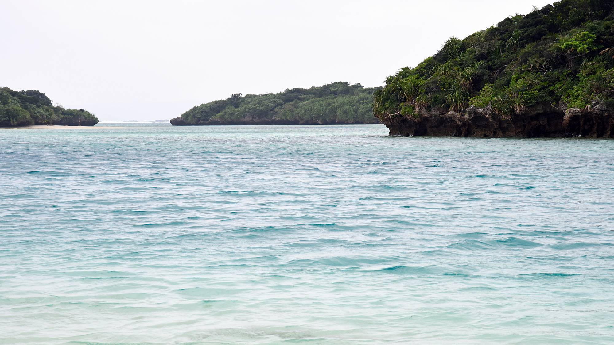 【早期割30】素泊まり◇先々のご宿泊ならこちらがお得！