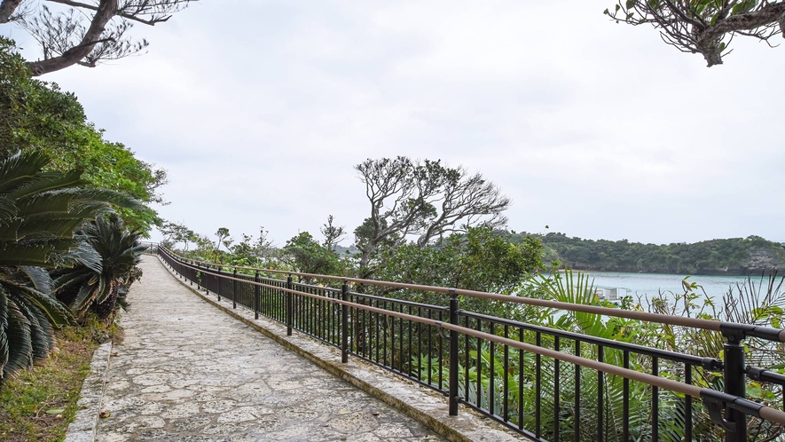 *周辺(川平湾遊歩道)/当館から徒歩5分とアクセス抜群★美しい風景をお楽しみ下さい。