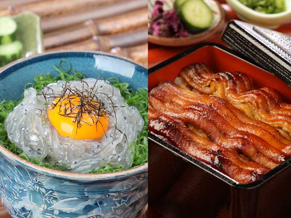 生しらす丼・太刀魚蒲焼き重（自由食プラン料理例）