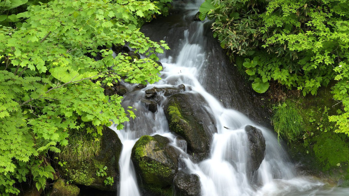 【貸切風呂でのんびり】プライベートな個室風呂で温泉満喫プラン／特選「山河膳」