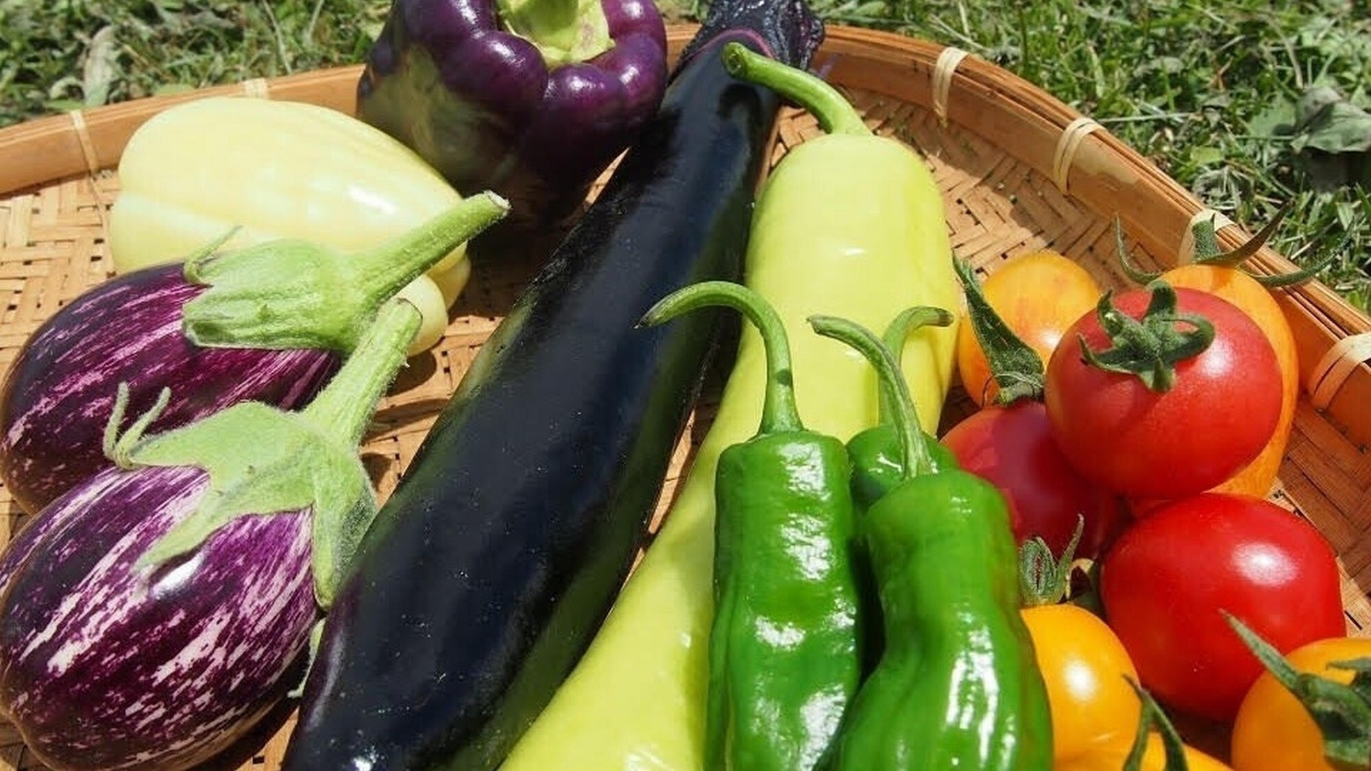 【自然体験付き】ニセコグリーンファームで野菜収穫＆石窯ピザ作り付き／和食「袱流膳」