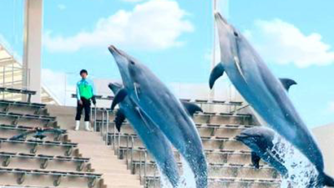 【室数限定！】「仙台うみの杜水族館」入館引換券付き宿泊プラン≪素泊まり≫