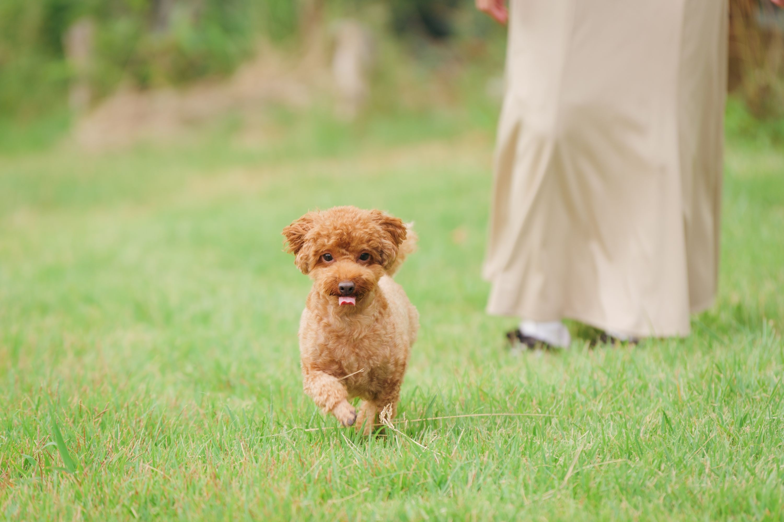10％OFF！平日ゆったり箱根旅【豪華絢爛！特選お刺身盛り合わせ♪】相模の海の幸満喫プレミアムプラン