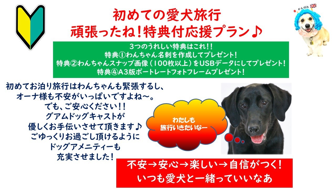 【08】【愛犬と一緒！】 【記念日】ご安心ください！初めてお泊り愛犬旅行コンシェルシ゛ュ