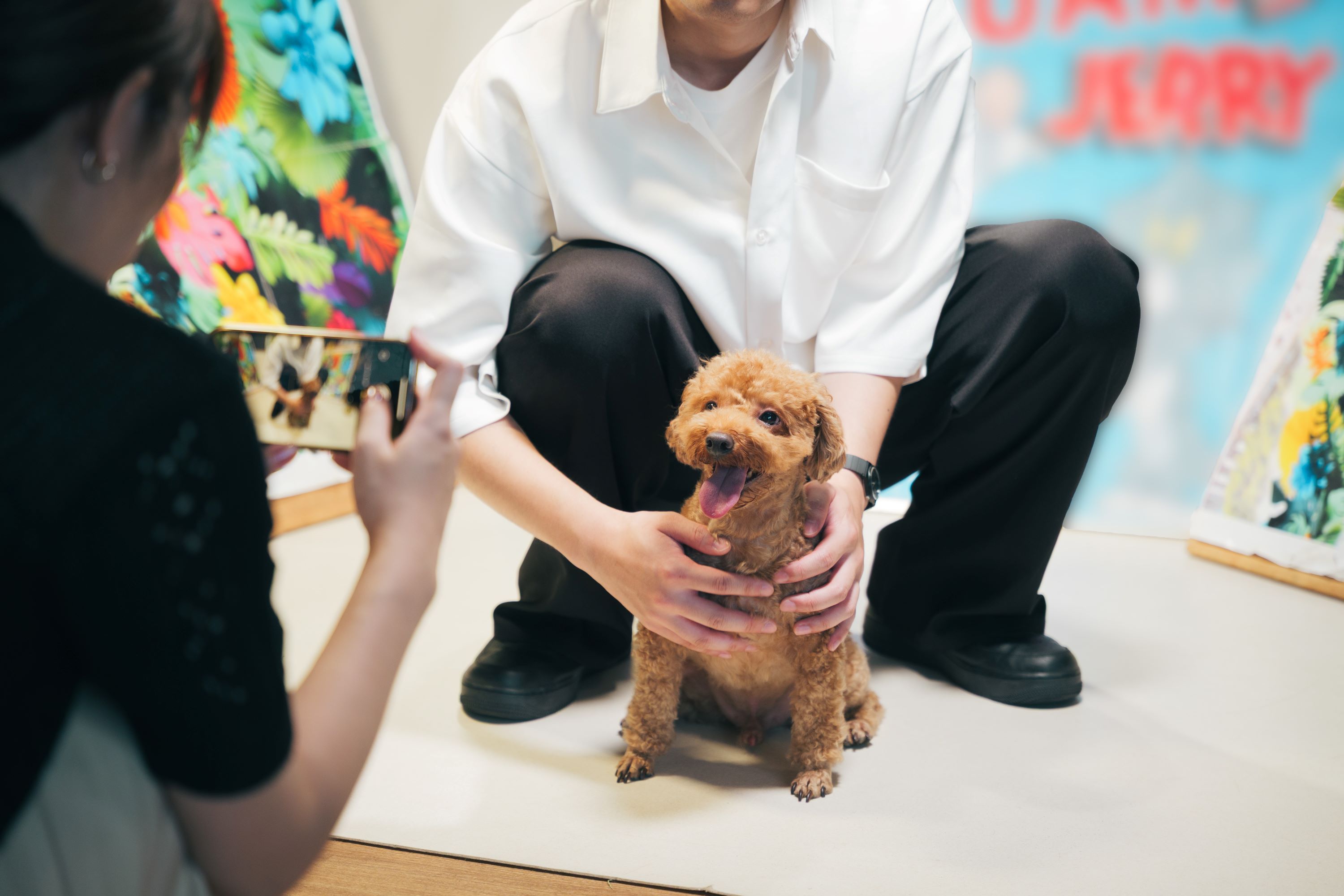 【HAPPY BIRTHDAY！愛犬記念撮影】〜特別な一日を写真に〜ワンちゃんとの記念旅行